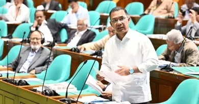 ‘ক্লিন ও গ্রিন সিটি’ করতে সরকারের ১২ কর্মপরিকল্পনা