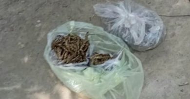 কুষ্টিয়ায় ৩০০ গ্রাম গাজা উদ্ধার, মাদক সম্রাট ধরাছোয়ার বাহিরে